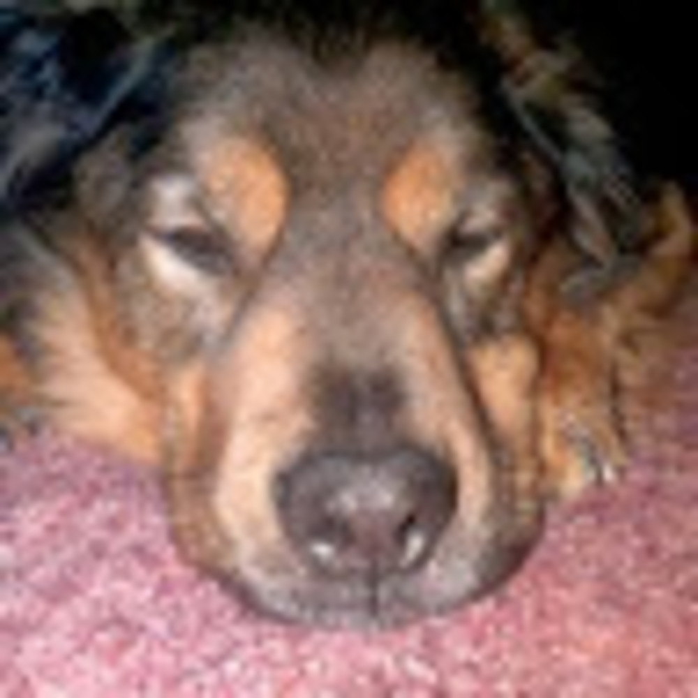 Meet your Posher, Sebastian